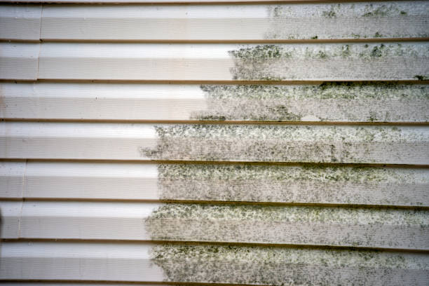 Storm Damage Siding Repair in Perris, CA